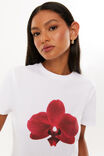 WHITE/ORCHID