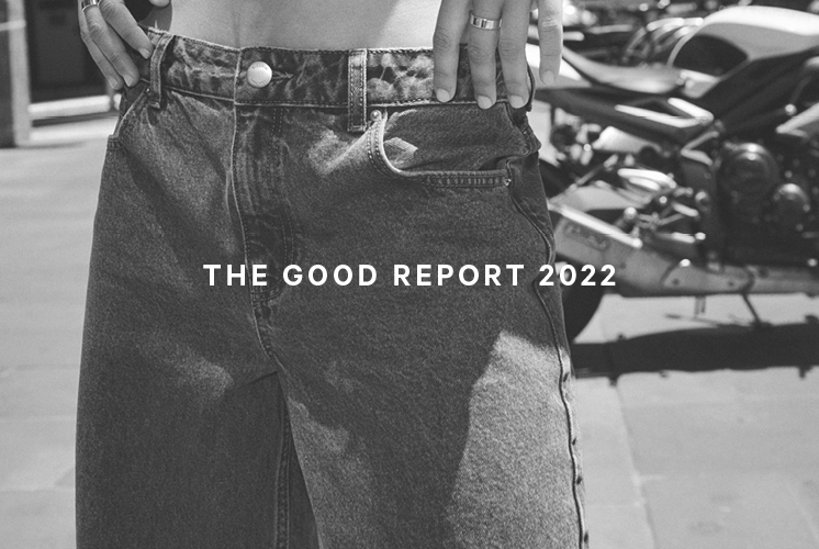 The Good Report 2022