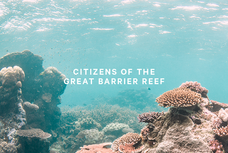 Supre Foundation: Citizens of the Great Barrier Reef